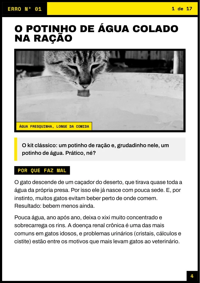 Página do erro nº 01