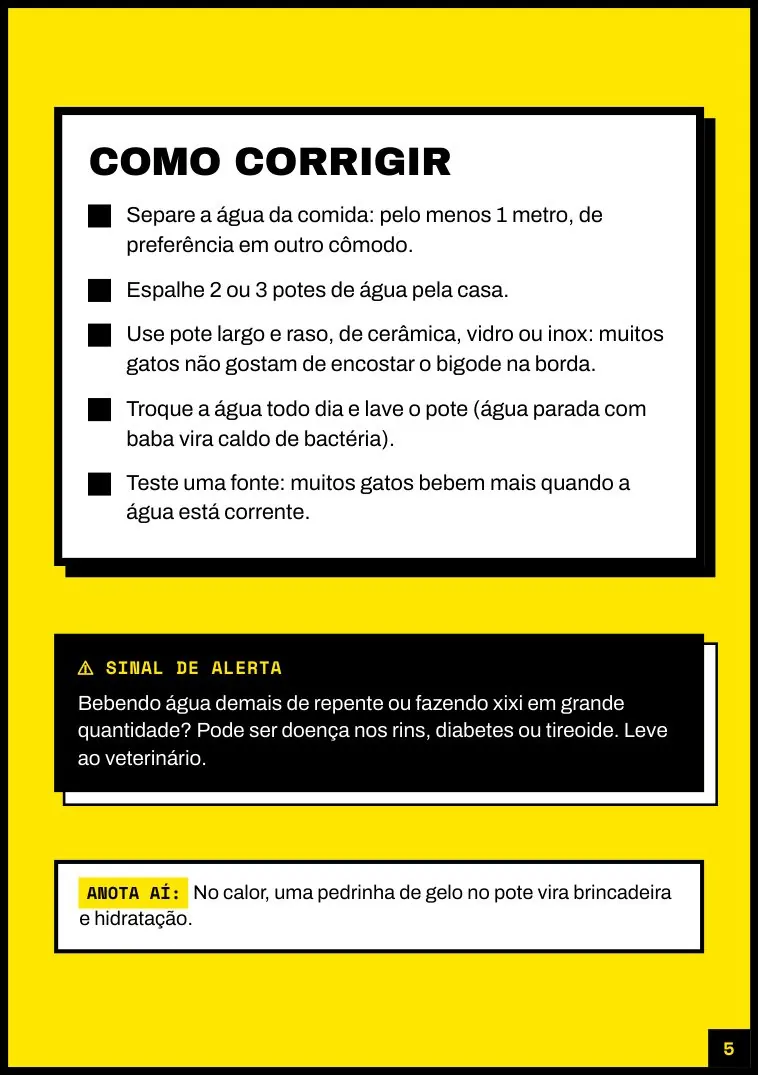 Página Como corrigir